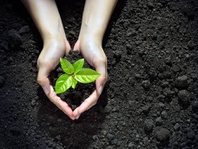 Pembantaian Para Aktivis Lingkungan